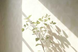 minimalistisch abstrakt Hintergrund mit verschwommen Schatten von Blätter und Pflanzen auf Weiß Mauer foto