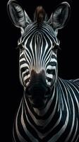 realistisch Zebra auf dunkel Hintergrund ai generiert foto