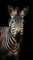 Silhouette von Zebra auf dunkel Hintergrund ai generiert foto