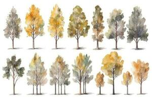 handgemalt Aquarell Espe Bäume Sammlung zum Wald Szenen generativ ai foto