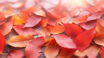 Herbst abstrakt Hintergrund mit Materialien Vorlagen und Texturen ai generiert foto