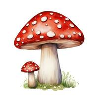 süß handgemalt Pilz Aquarell Clip Art auf Weiß Hintergrund ai generiert foto