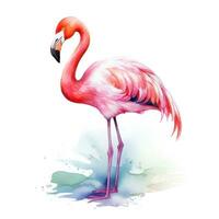 bezaubernd Aquarell Flamingo Clip Art auf Weiß Hintergrund ai generiert foto