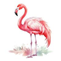 bezaubernd Aquarell Flamingo Clip Art auf Weiß Hintergrund ai generiert foto