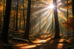 Foto von das Herbst Berg Wald, Wald Fluss, moosig Steine, Sonne Strahlen Hintergrund