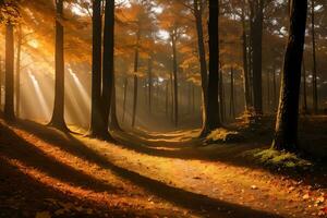 Foto von das Herbst Berg Wald, Wald Fluss, moosig Steine, Sonne Strahlen Hintergrund