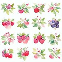 Aquarell Beeren Clip Art foto