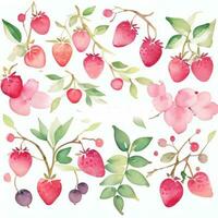 Aquarell Beeren Clip Art foto