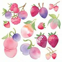 Aquarell Beeren Clip Art foto