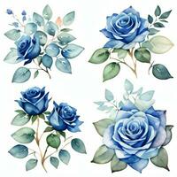 Aquarell Blau Rosen Clip Art foto