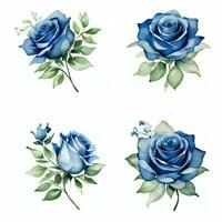 Aquarell Blau Rosen Clip Art foto