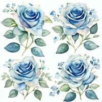 Aquarell Blau Rosen Clip Art foto