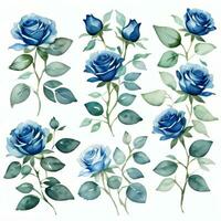 Aquarell Blau Rosen Clip Art foto