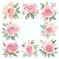 Rosa Aquarell Rosen Clip Art foto