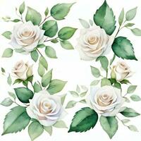 Weiß Aquarell Rosen Clip Art foto