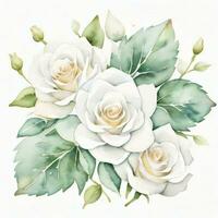 Weiß Aquarell Rosen Clip Art foto