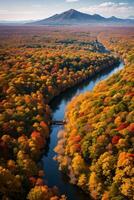 Foto von das Herbst Wald Drohne Aussicht