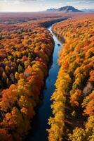 Foto von das Herbst Wald Drohne Aussicht