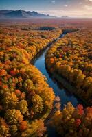 Foto von das Herbst Wald Drohne Aussicht