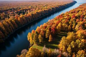 Foto von das Herbst Wald Drohne Aussicht