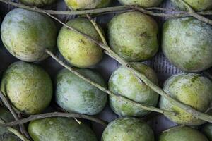 frisch Früchte reif Mango angezeigt zum Verkauf im das Markt von Bangladesch foto