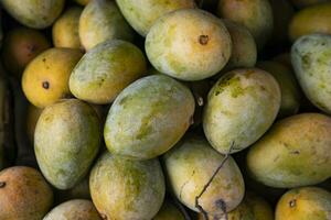 frisch Früchte reif Mango angezeigt zum Verkauf im das Markt von Bangladesch foto