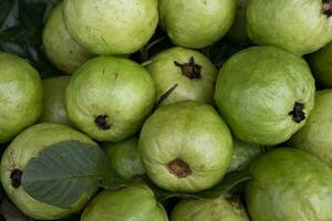 frisch Grün Guave Früchte angezeigt zum Verkauf im das Markt von Bangladesch foto