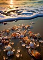 Welle Sonnenaufgang Muscheln Sand Paradies friedlich Landschaft Freiheit Szene schön Hintergrund Foto