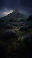 Lavendel Feld Wind Gras launisch wild friedlich Landschaft Freiheit Szene schön Hintergrund Foto