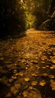 Herbst Orange Baum fallen friedlich Landschaft Freiheit Szene schön Natur Hintergrund Foto