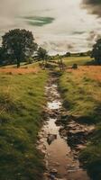 Raum Felsen Natur Ruhe Anmut Landschaft Zen Harmonie sich ausruhen Ruhe Einheit Harmonie Fotografie foto