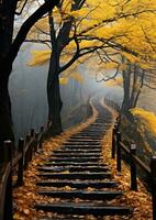 Herbst Blätter Orange Ruhe Anmut Landschaft Zen Harmonie Ruhe Einheit Harmonie Fotografie foto