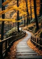 Herbst Blätter Orange Ruhe Anmut Landschaft Zen Harmonie Ruhe Einheit Harmonie Fotografie foto