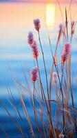 Blumen Fokus Sonnenuntergang Ruhe Anmut Landschaft Zen Harmonie Ruhe Einheit Harmonie Fotografie foto