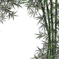 Bambus Blätter Rahmen Gruß Karte Scrapbooking Aquarell sanft Illustration Rand Hochzeit foto