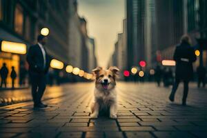 ein Hund Sitzung auf das Straße im ein Stadt beim Nacht. KI-generiert foto