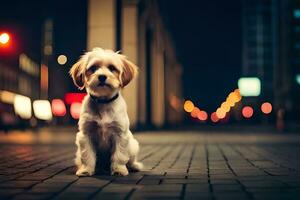 ein klein Hund Sitzung auf das Boden im Vorderseite von ein Stadt Straße. KI-generiert foto