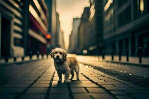 ein Hund Stehen auf ein Straße im das Stadt. KI-generiert foto