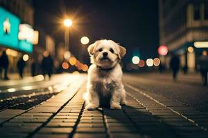 ein klein Hund Sitzung auf das Bürgersteig beim Nacht. KI-generiert foto