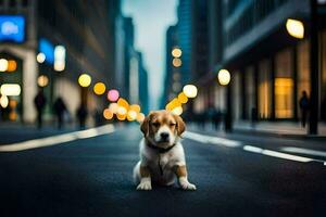 ein Hündchen sitzt auf das Straße im Vorderseite von ein Stadt. KI-generiert foto