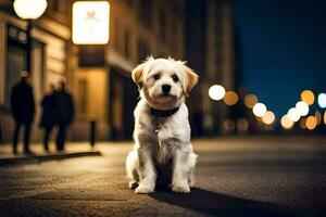 ein Hund Sitzung auf das Straße beim Nacht. KI-generiert foto