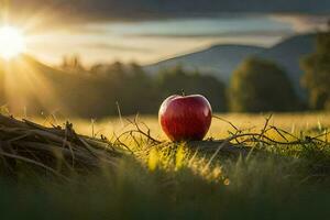 das Apfel im das Sonnenuntergang. KI-generiert foto