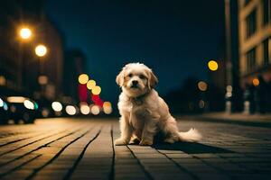 ein Hund Sitzung auf das Straße beim Nacht. KI-generiert foto