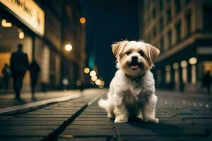 ein klein Hund Sitzung auf das Straße beim Nacht. KI-generiert foto