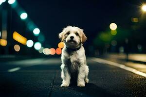 ein Hund Sitzung auf das Straße beim Nacht. KI-generiert foto