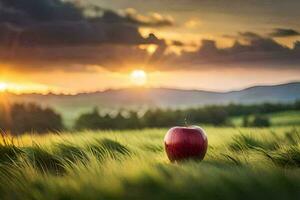 ein Apfel im ein Feld beim Sonnenuntergang. KI-generiert foto