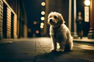 ein Hund Sitzung auf das Straße beim Nacht. KI-generiert foto