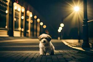 ein klein Hund Sitzung auf das Bürgersteig beim Nacht. KI-generiert foto