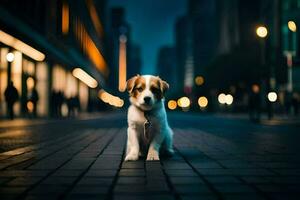 ein Hündchen Sitzung auf das Straße beim Nacht. KI-generiert foto