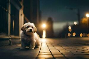 ein klein Hund Sitzung auf das Bürgersteig beim Nacht. KI-generiert foto